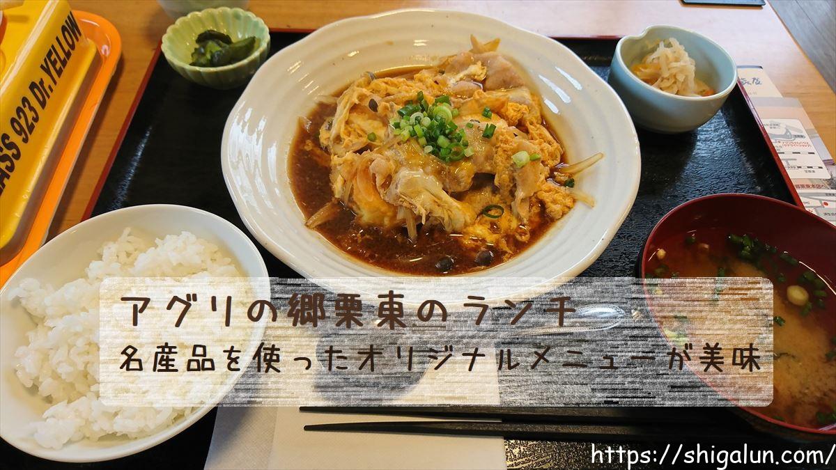 アグリの郷栗東のランチレポ!ドクターイエローランチは子どもが大喜び♪モーニングもやってる?