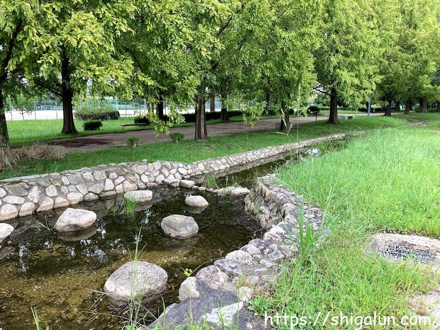 矢橋帰帆島公園の水遊びできる「せせらぎ水路」とせせらぎ池行ってみた♪水辺スポットおすすめも。