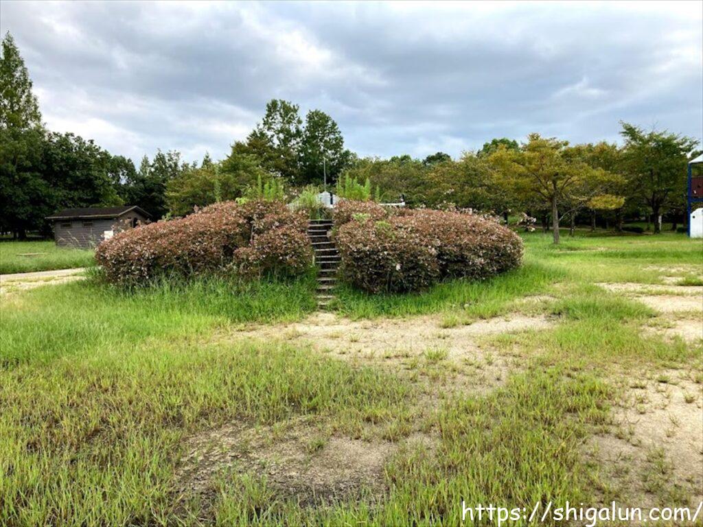 矢橋帰帆島公園の小さな丘