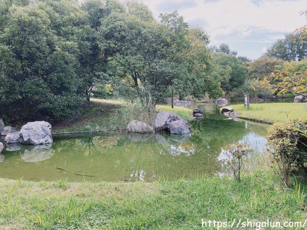 矢橋帰帆島のせせらぎ池　風情があって素敵です。