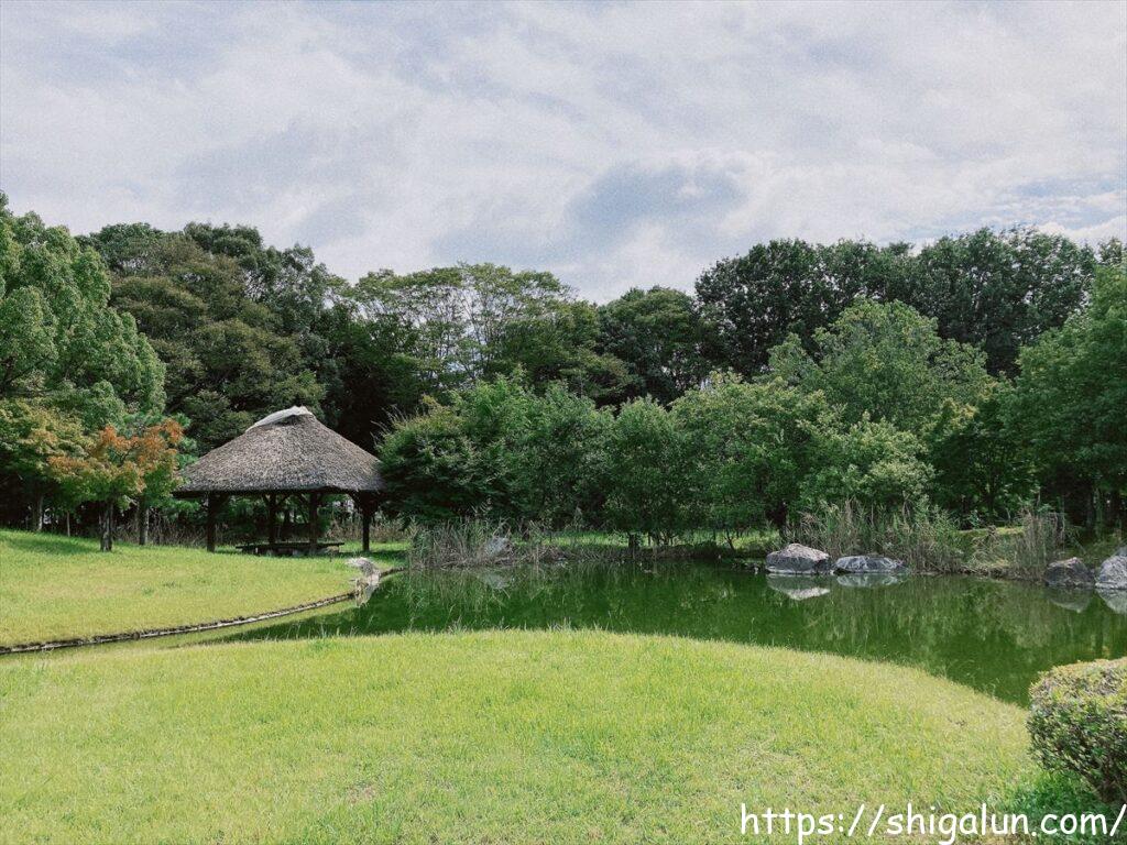矢橋帰帆島のせせらぎ池　キレイに管理されています。