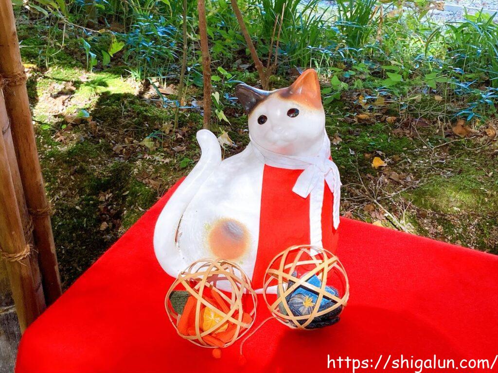 長寿寺の猫