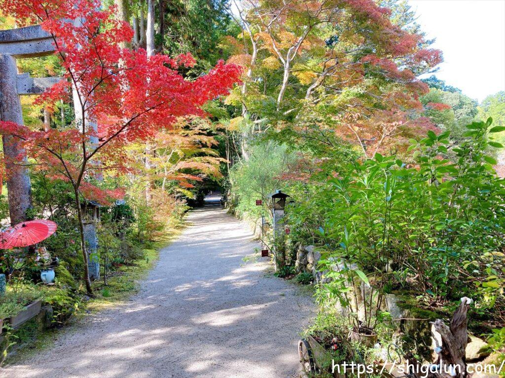長寿寺の紅葉　参道を通るところ
