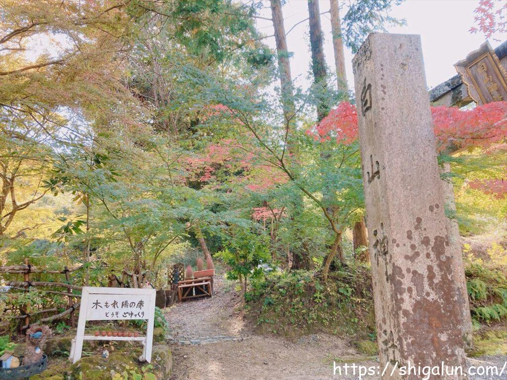 長寿寺の紅葉　休憩スペースのところ
