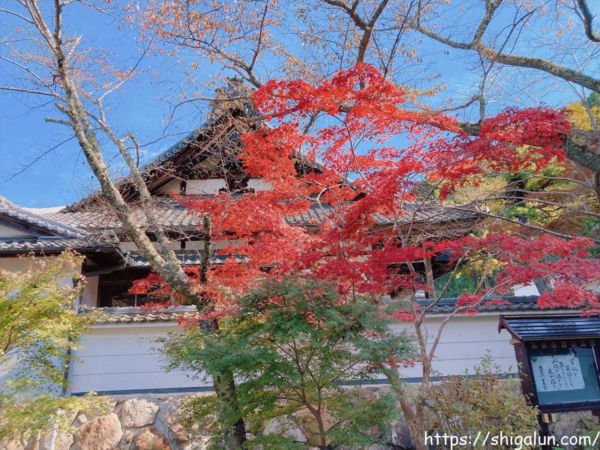 長寿寺　滋賀の紅葉の見頃や時期は？ライトアップや和傘、ハロウィンの飾りも幻想的で奇麗！