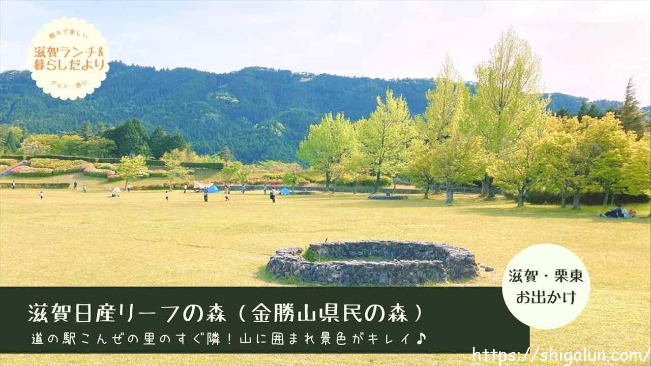 滋賀日産リーフの森はデイキャンプしたり犬とお散歩できる♪紅葉や見どころも紹介。
