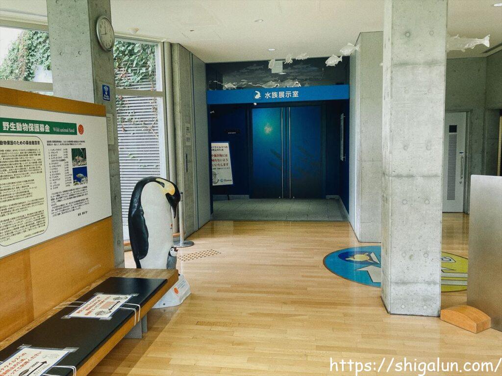 琵琶湖博物館の周辺観光スポットおすすめは？
