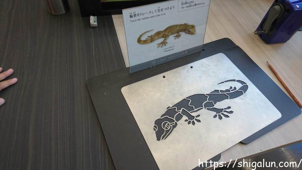 琵琶湖博物館の大人のディスカバリールーム スケッチができます