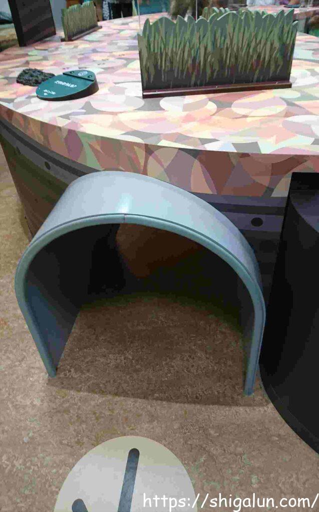 琵琶湖博物館のこどものディスカバリールーム トンネル