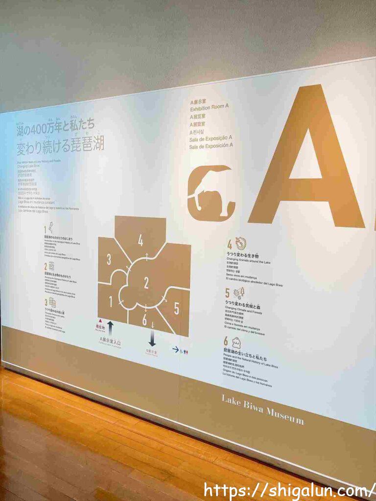 琵琶湖博物館のA・B・C展示室とは？