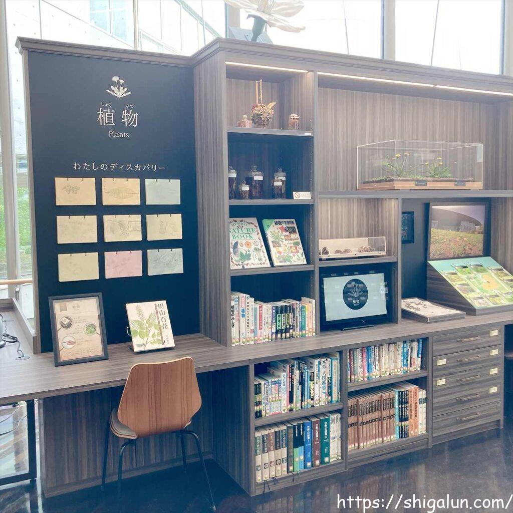 琵琶湖博物館の大人のディスカバリールーム　植物の展示&調べ物コーナー
