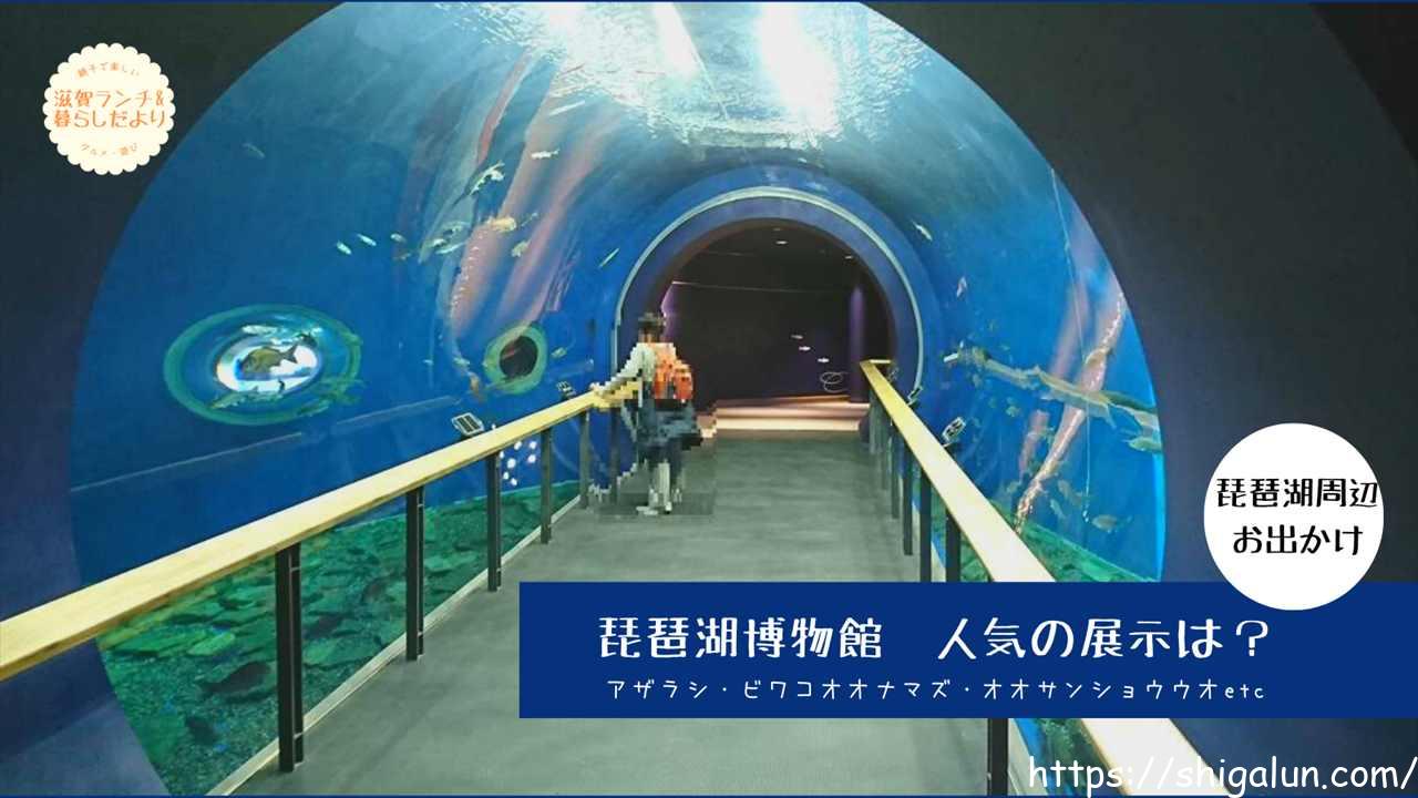 琵琶湖博物館の水族館!?水族展示室の見どころや料金、所要時間は?