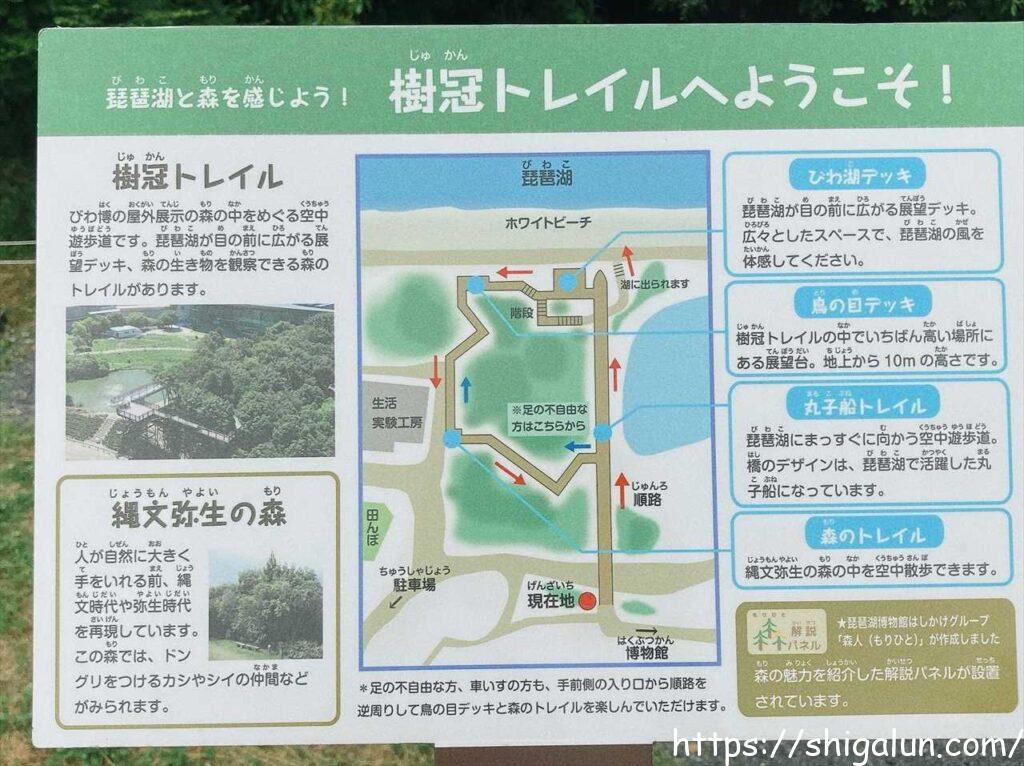 琵琶湖博物館の樹冠トレイル案内図