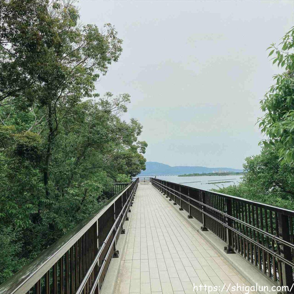 琵琶湖博物館の樹冠トレイル1 丸子船トレイル