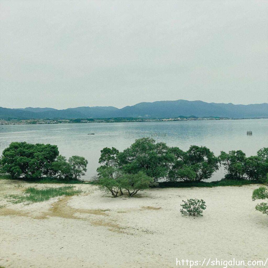 琵琶湖博物館の樹冠トレイル３　鳥の目デッキから見える景色