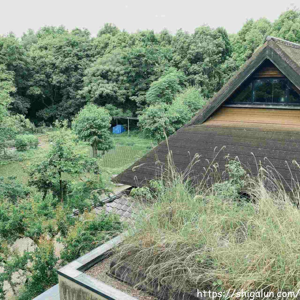 琵琶湖博物館の樹冠トレイル　森のトレイルから見える生活体験工房