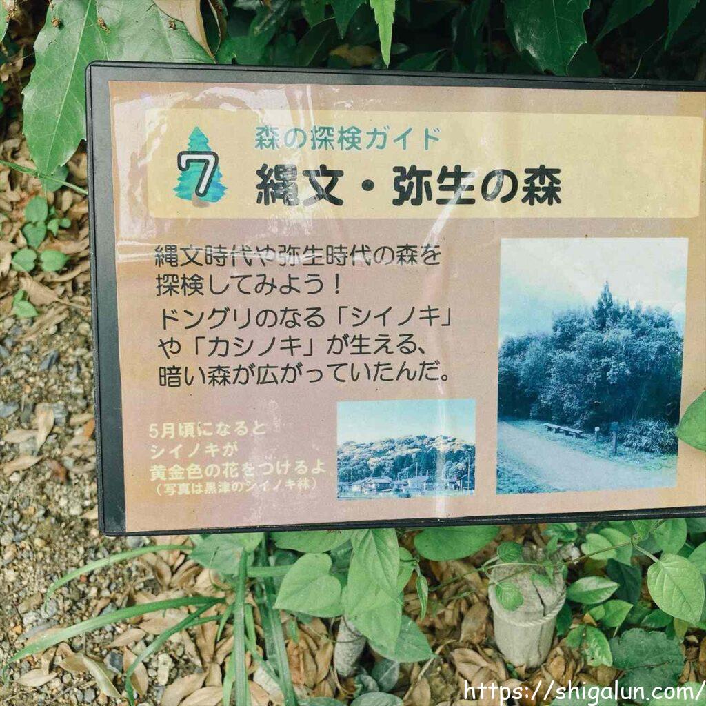 琵琶湖博物館の屋外展示１　縄文弥生の森