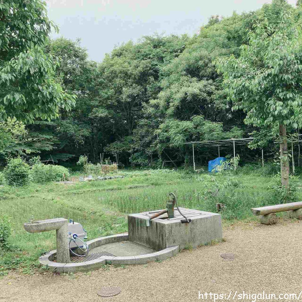琵琶湖博物館の屋外展示2 生活実験工房
