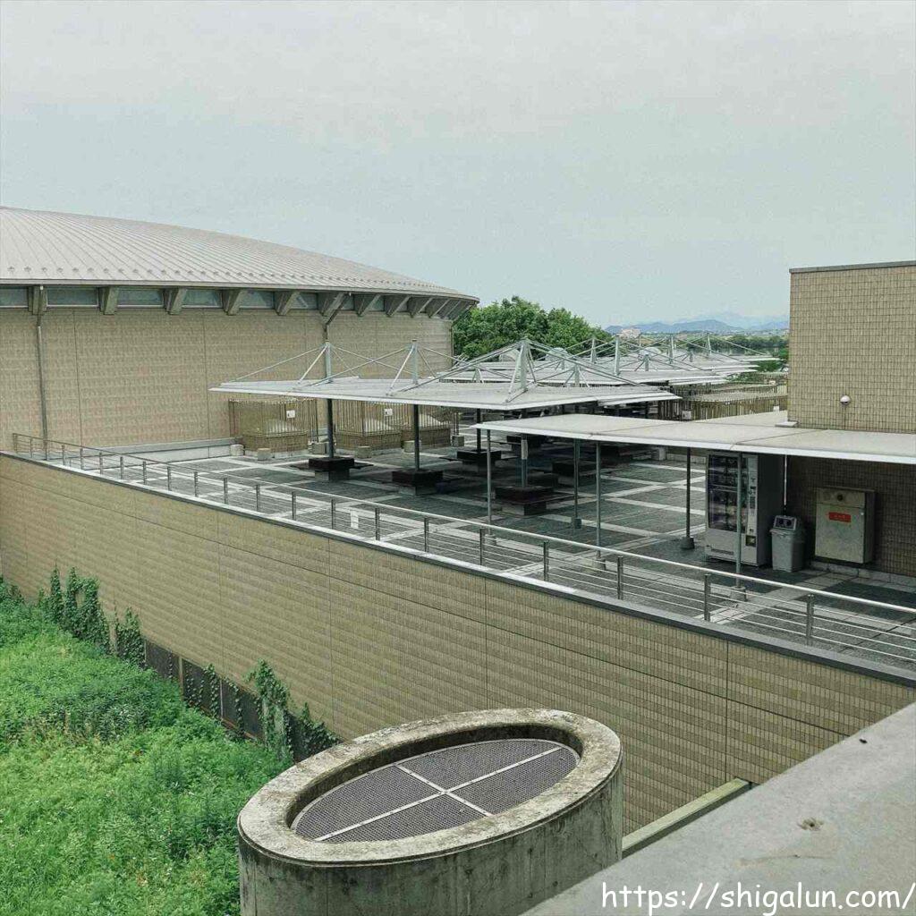 琵琶湖博物館の屋上広場