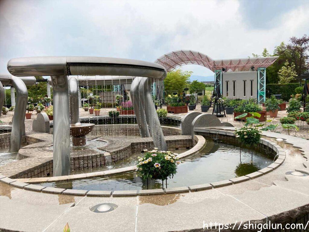 草津市立水生植物公園みずの森の見どころ３　コミュニティ広場&噴水