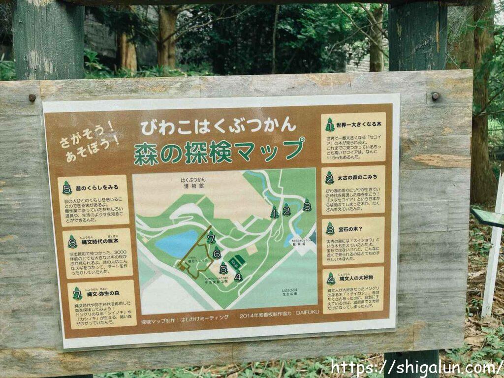 琵琶湖博物館の屋外展示２　太古の森
