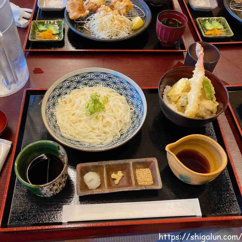 長命寺温泉天葉の湯 食事 冷稲庭うどん ミニ天丼