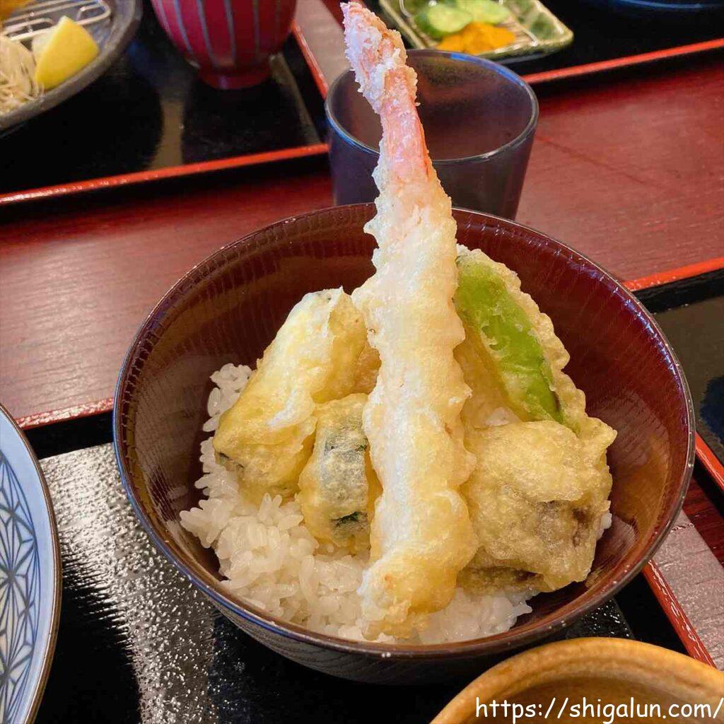 天葉の湯 食事 ミニ天丼