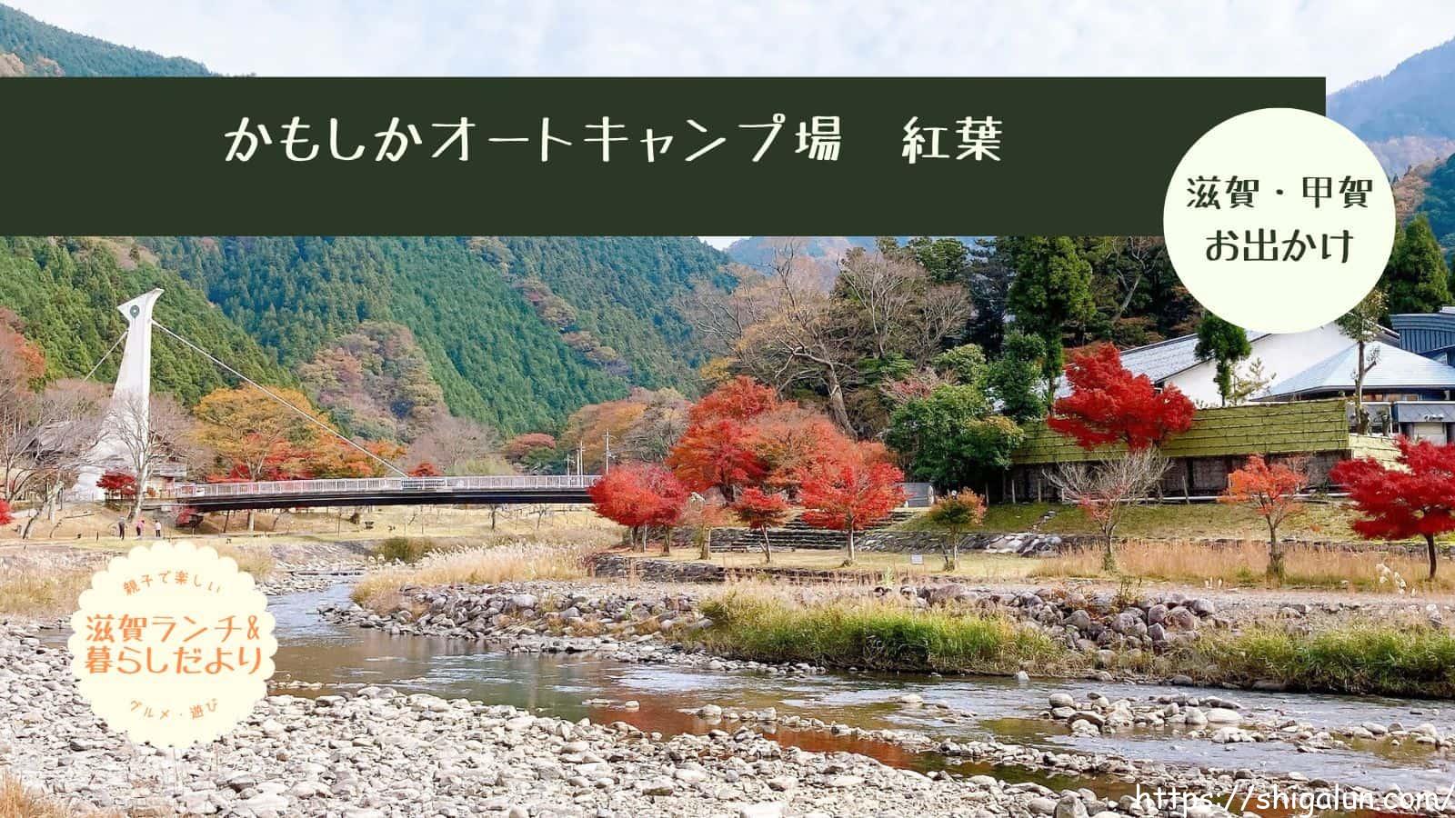 かもしかオートキャンプ場 紅葉