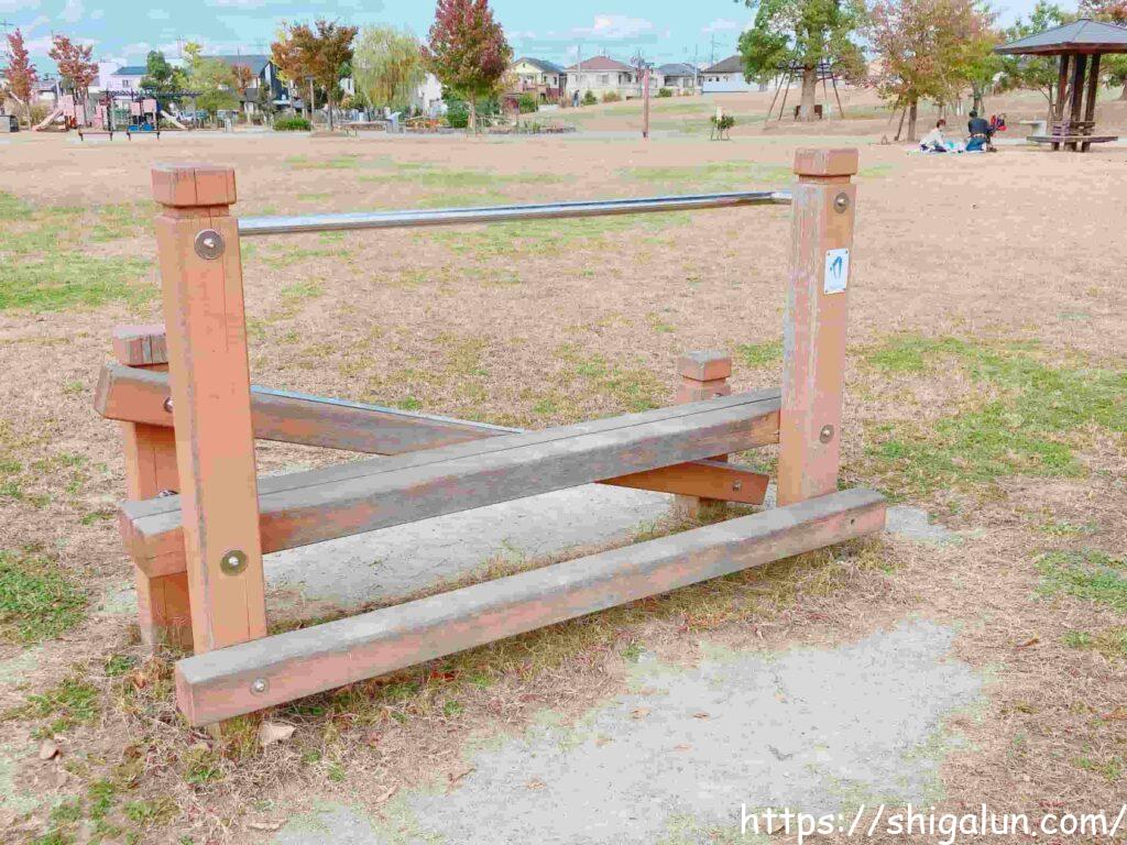 えんまどう公園のみどりの広場のストレッチ2
