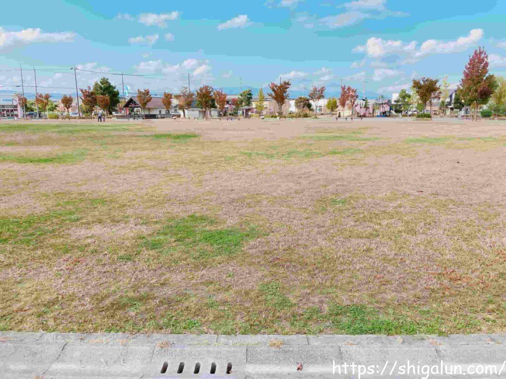 えんまどう公園のみどりの広場